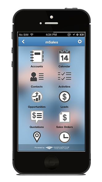 Mobile Sales Manager screen 2