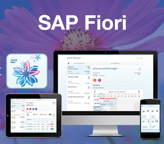 SAP Fiori Implementation Services Case Study